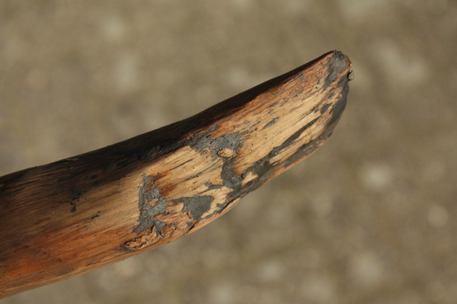 hout uit water.jpg